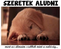 /album/fenykepgaleria/szeretek-aludni-jpg/